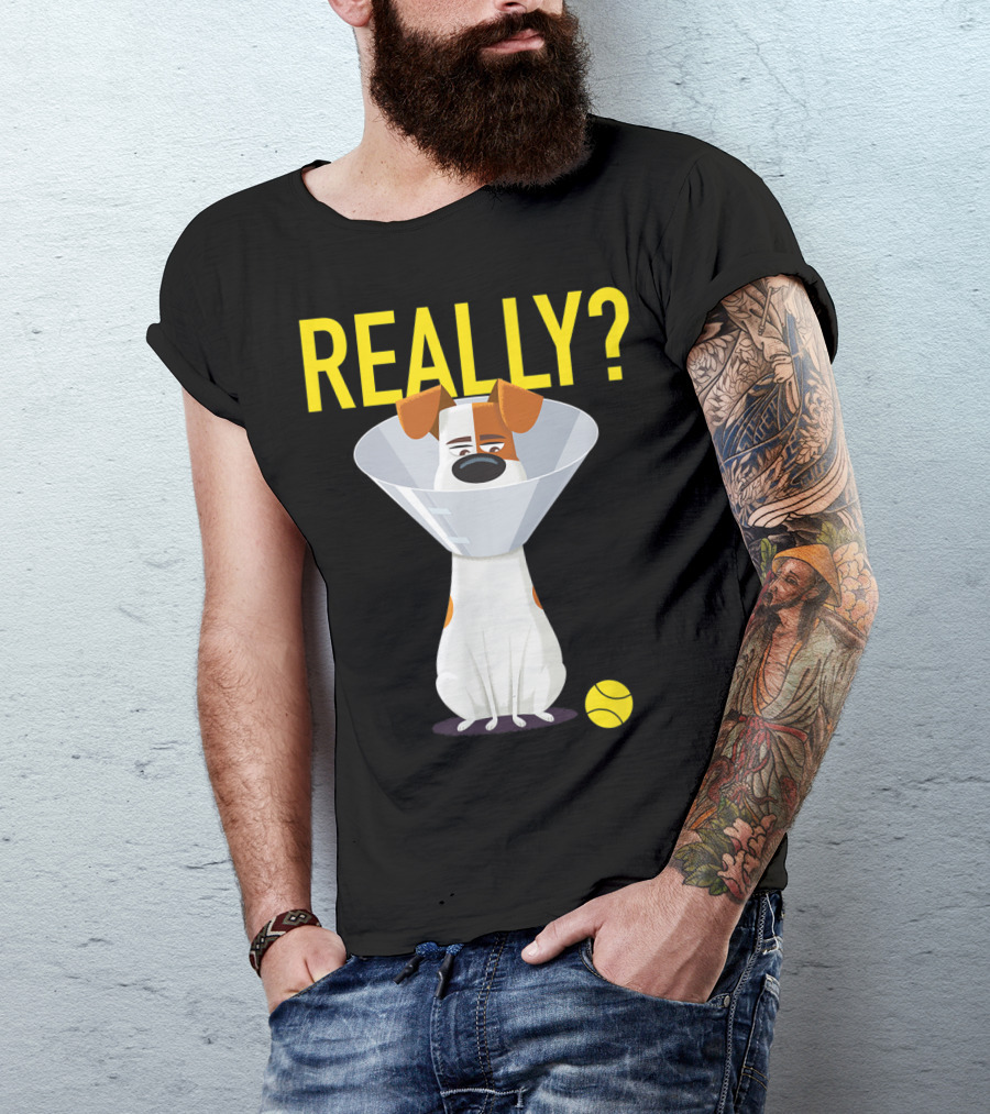 The Secret Life Of Pets 2 Max Really? Ball Cone Collar T-Shirt