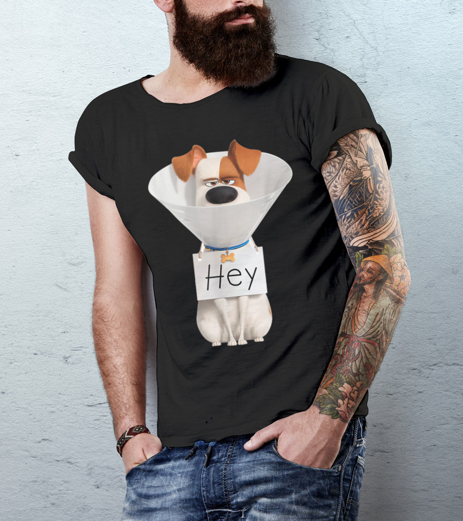 Hey Max Dog Cone Humor T-Shirt