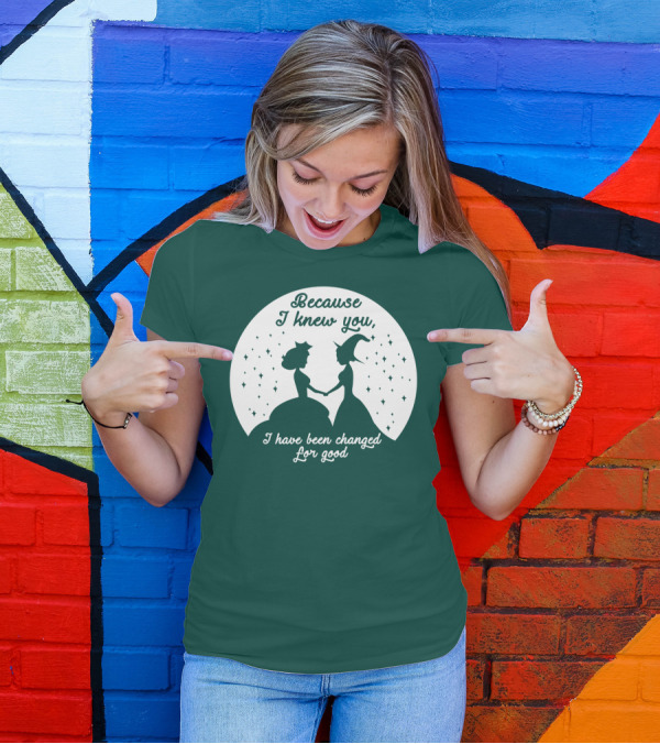 Because I Knew You I Have Been Changed For Good Silhouettes Stars T-Shirt