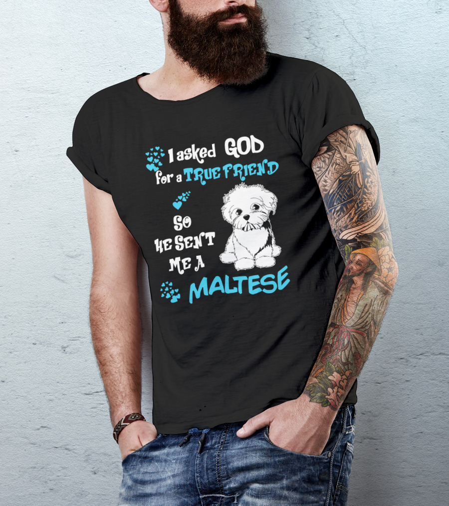 God Sent Me A True Friend Maltese Dog So He Sent Me A Maltese T-Shirt