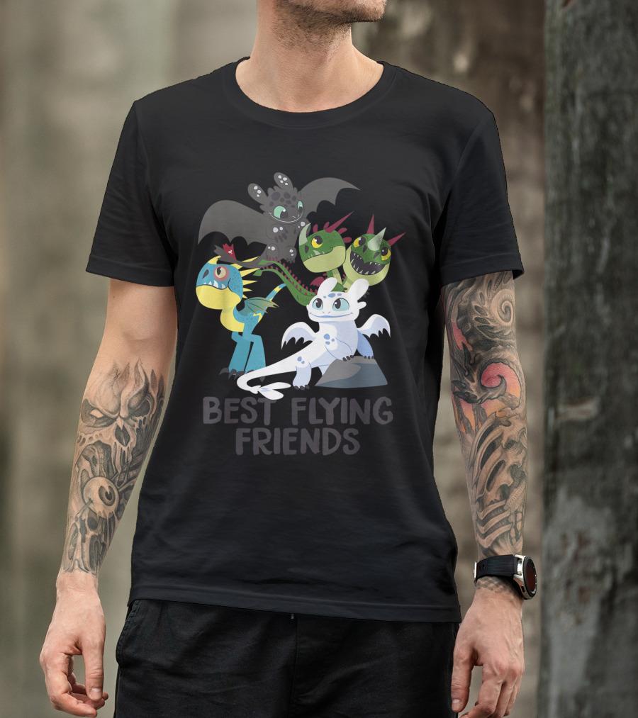 Best Flying Friends How To Train Your Dragon 3 Hidden World T-Shirt