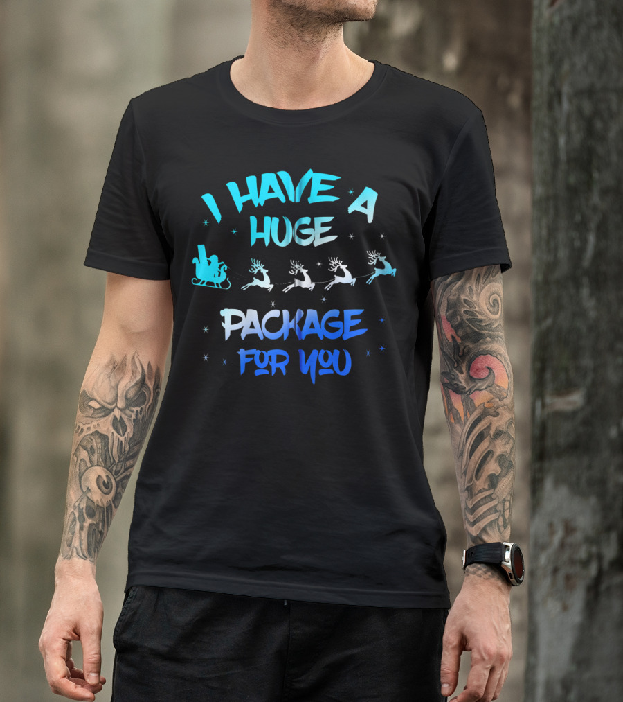 I Have A Huge Package For You Santa Reindeer Sleigh T-Shirt
