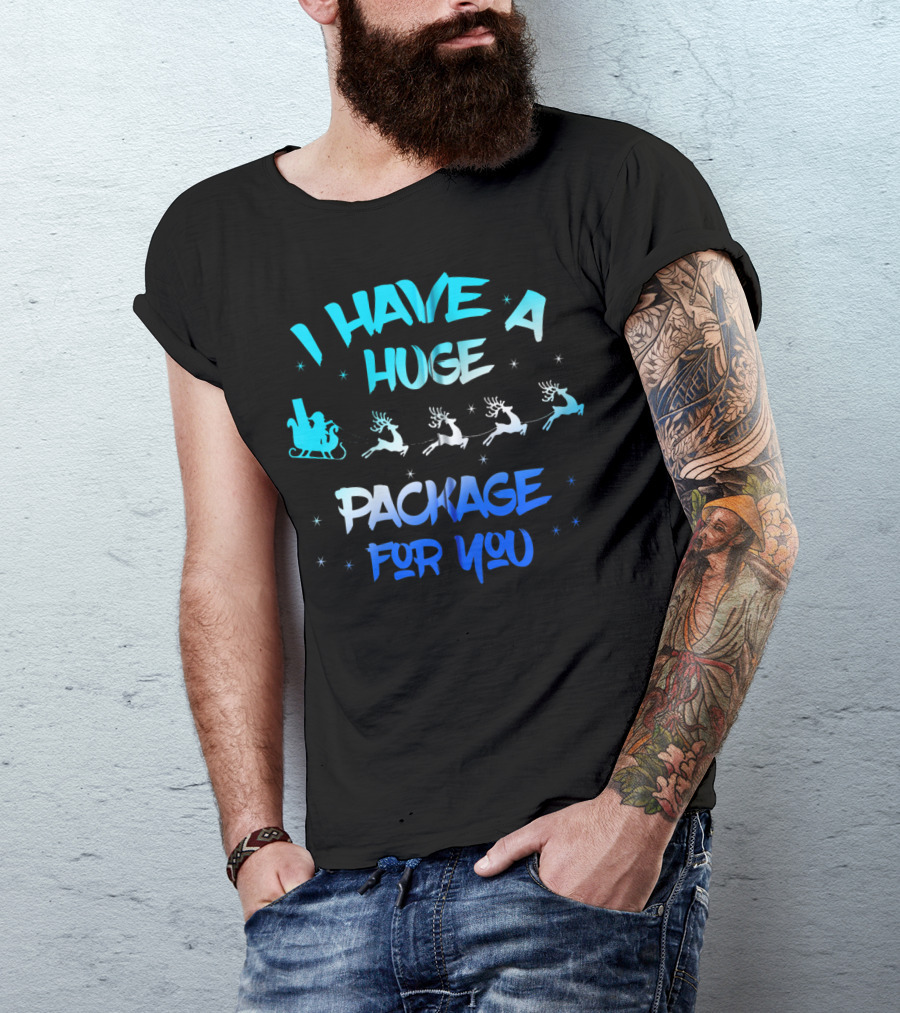 I Have A Huge Package For You Santa Reindeer Sleigh T-Shirt