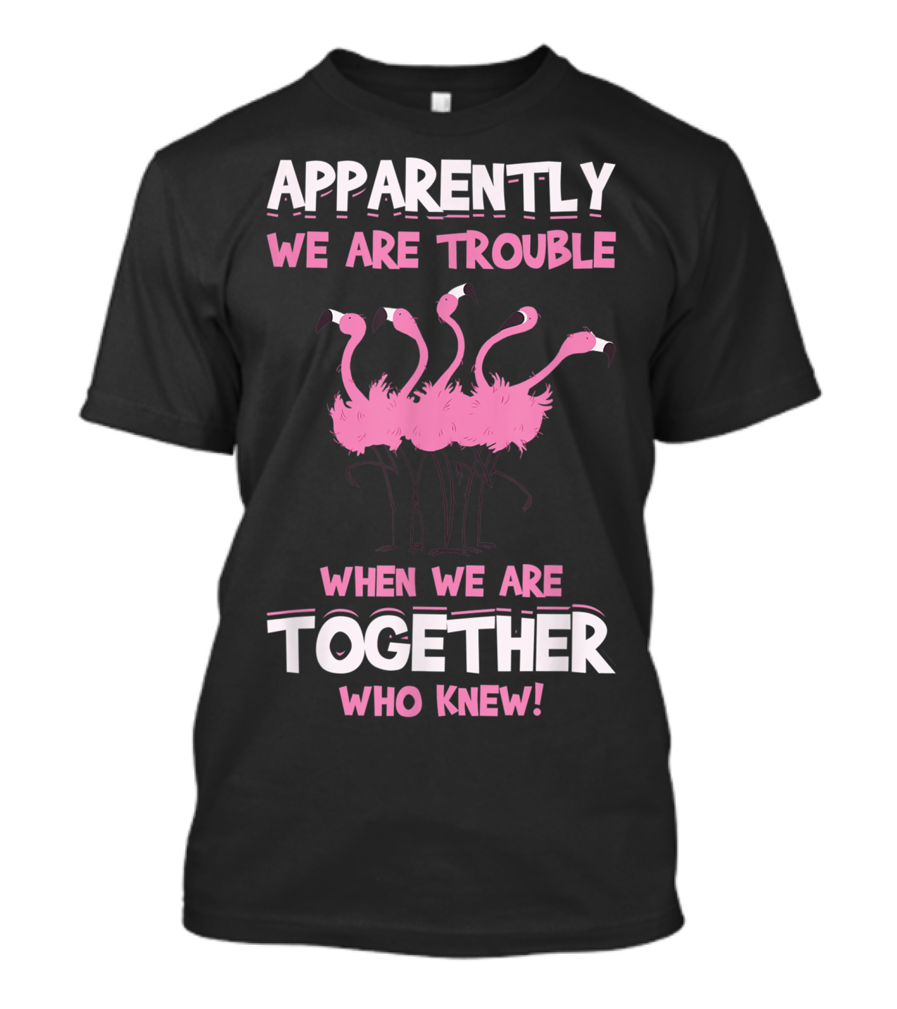 Apparently We Are Trouble When We Are Together Who Knew T-Shirt