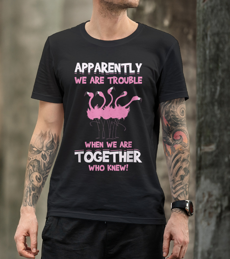 Apparently We Are Trouble When We Are Together Who Knew T-Shirt