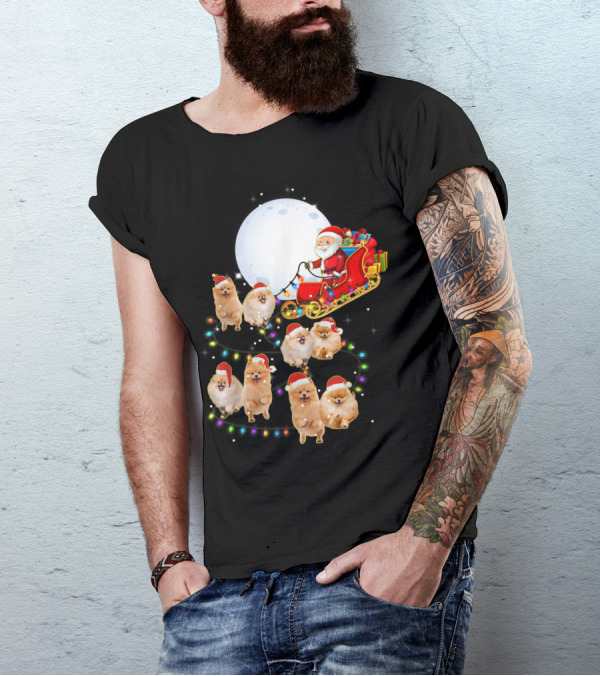 Santa's Pomeranian Reindeer With Sleigh And Christmas Lights T-Shirt