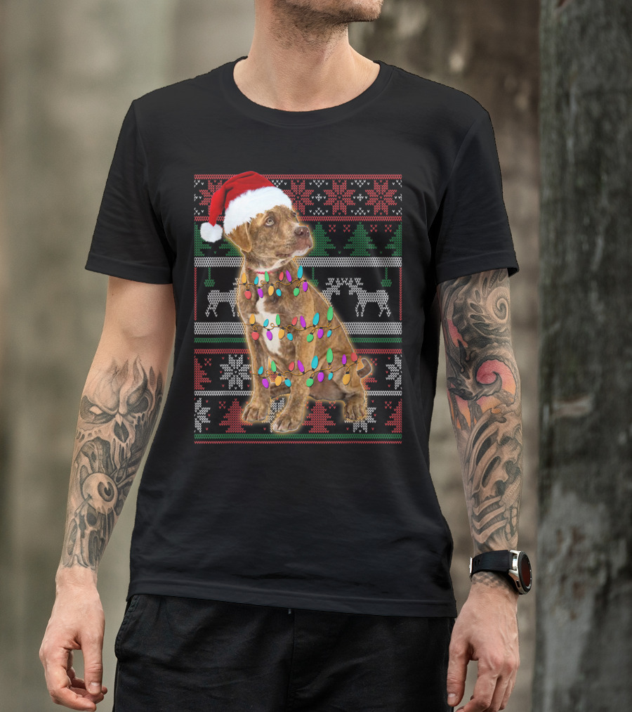 Plott Hound Christmas Sweater Santa Hat With Lights T-Shirt