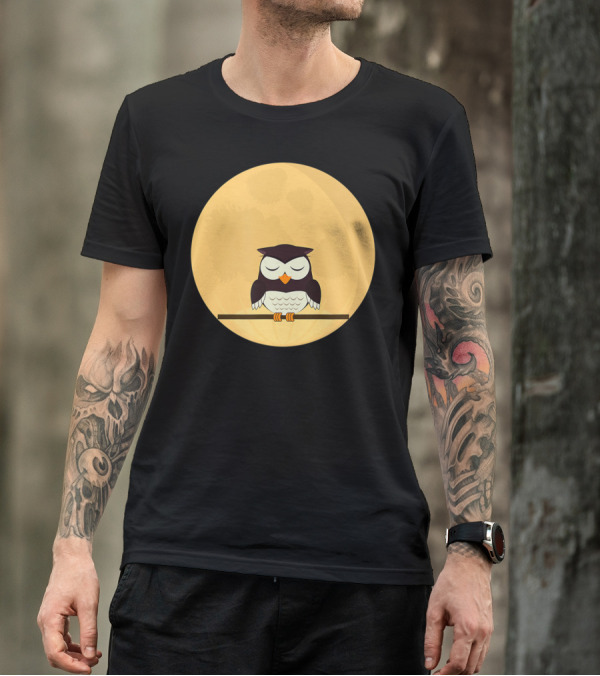 An Owl And The Full Moon Night Sky T-Shirt