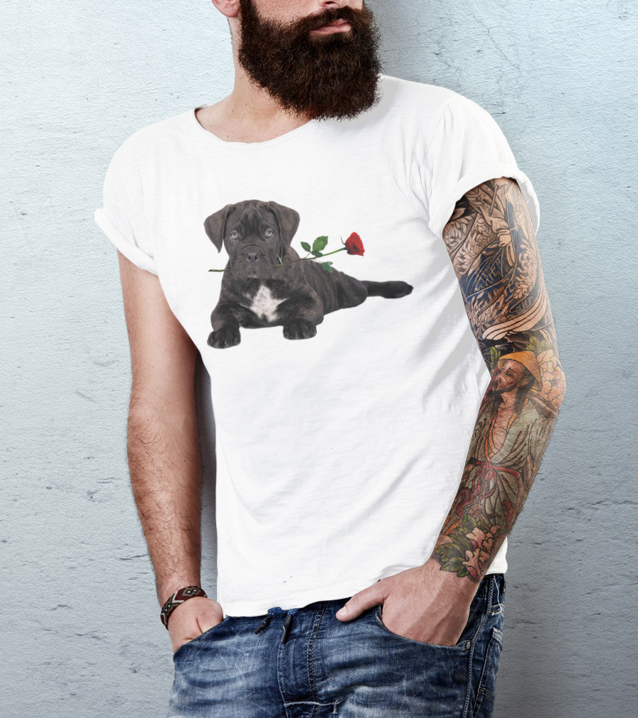 Cane Corso Puppy With A Red Rose In Mouth T-Shirt