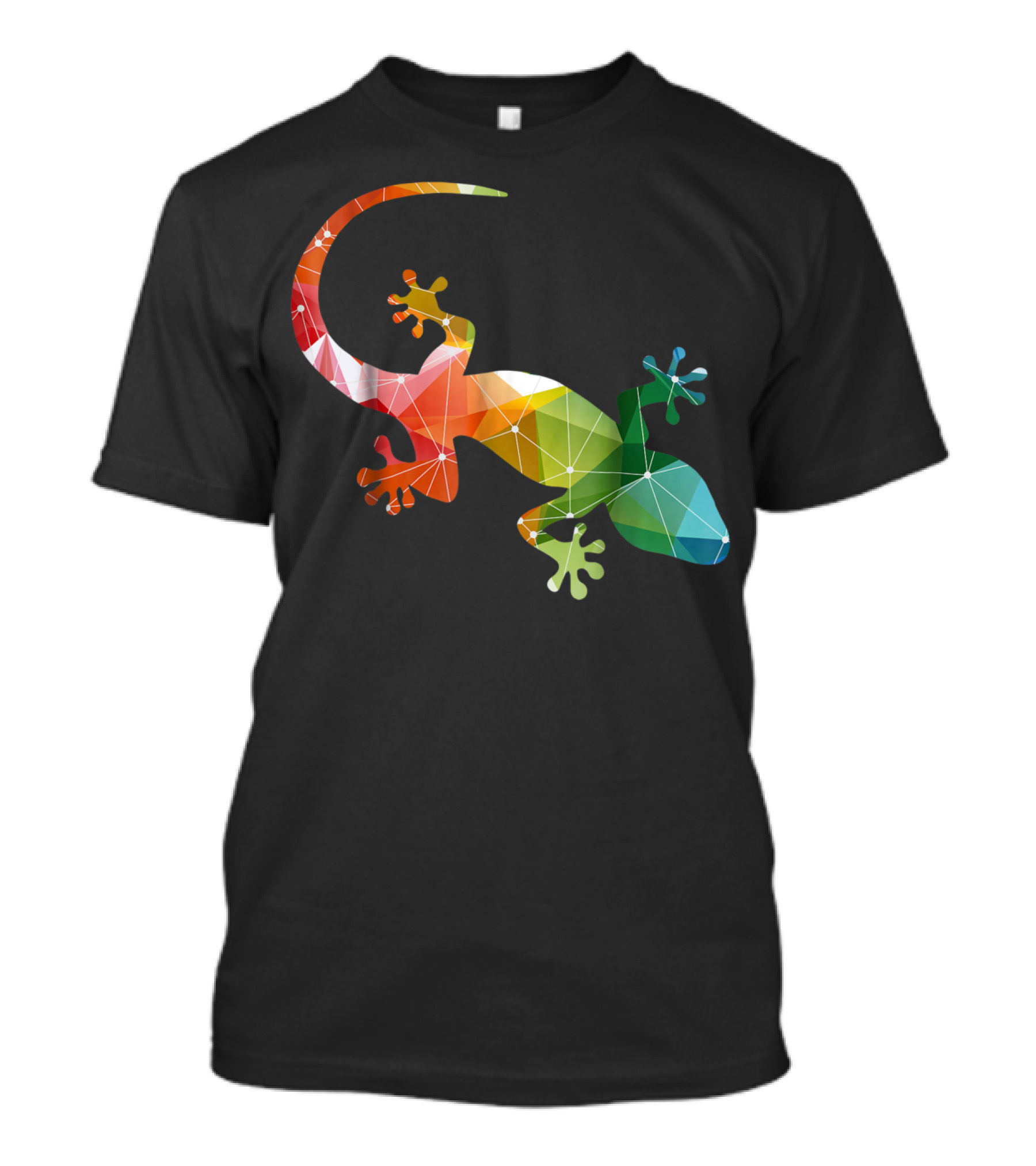 Salamander Colorful Geometric T-Shirt