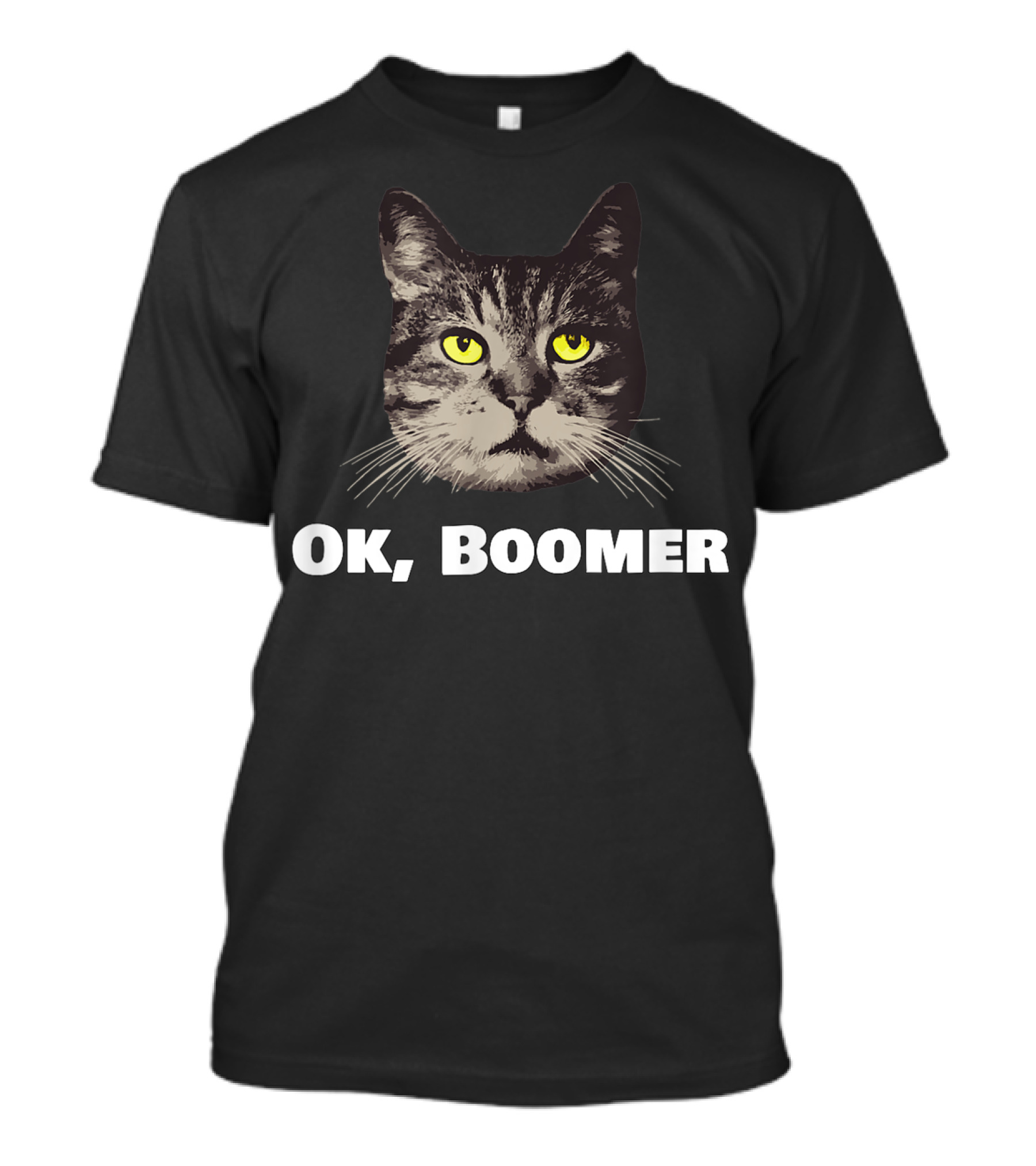 Ok Boomer Millennial Cat Okay Boomer T-Shirt