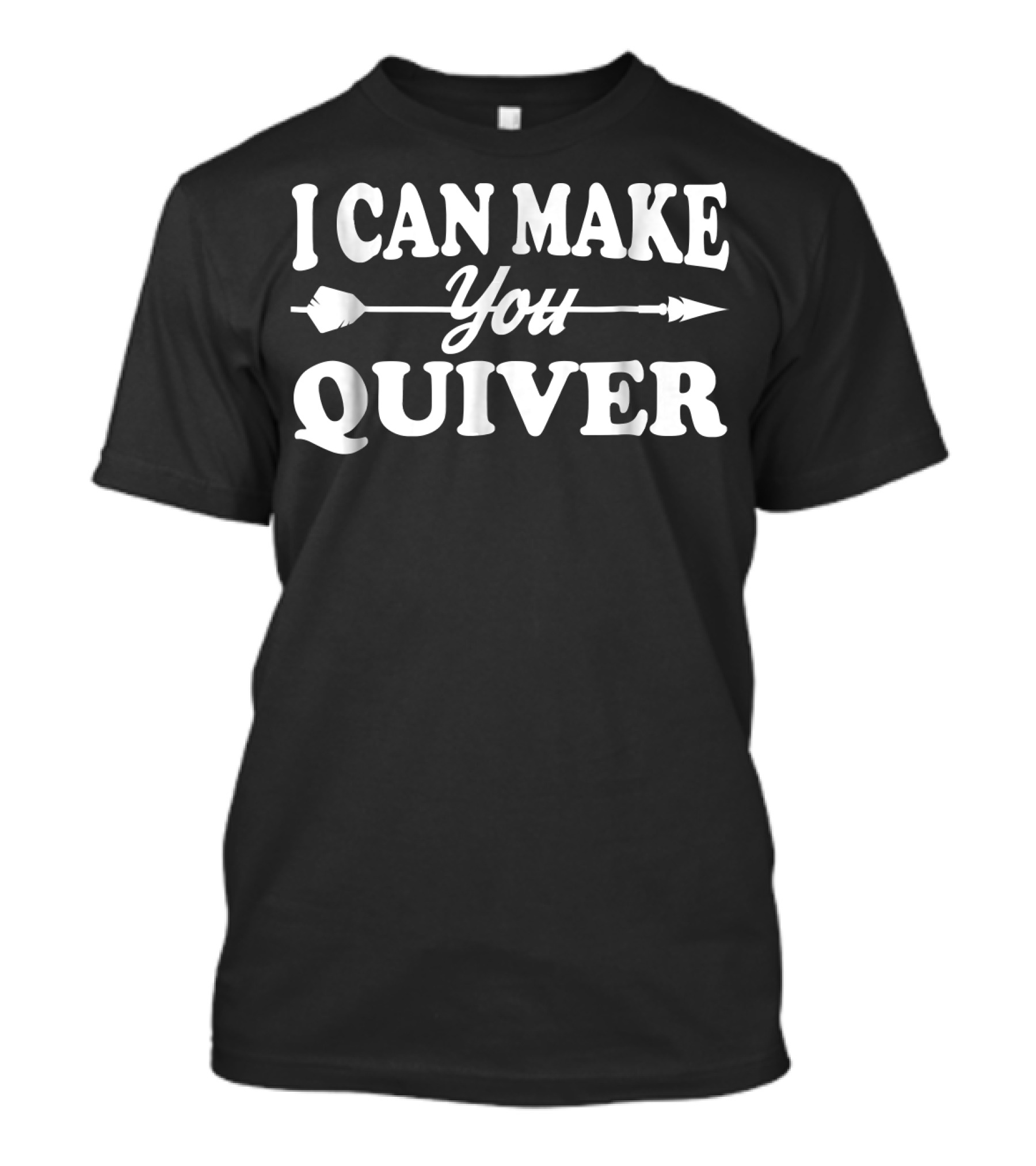 Funny Archery Archer I Can Make You Quiver T-Shirt