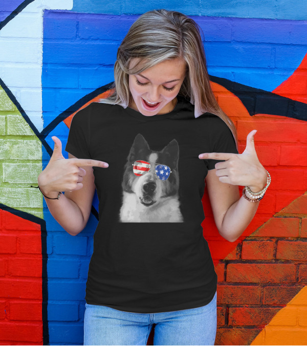 Vintage Akita Dog With American USA Flag Glasses T-Shirt