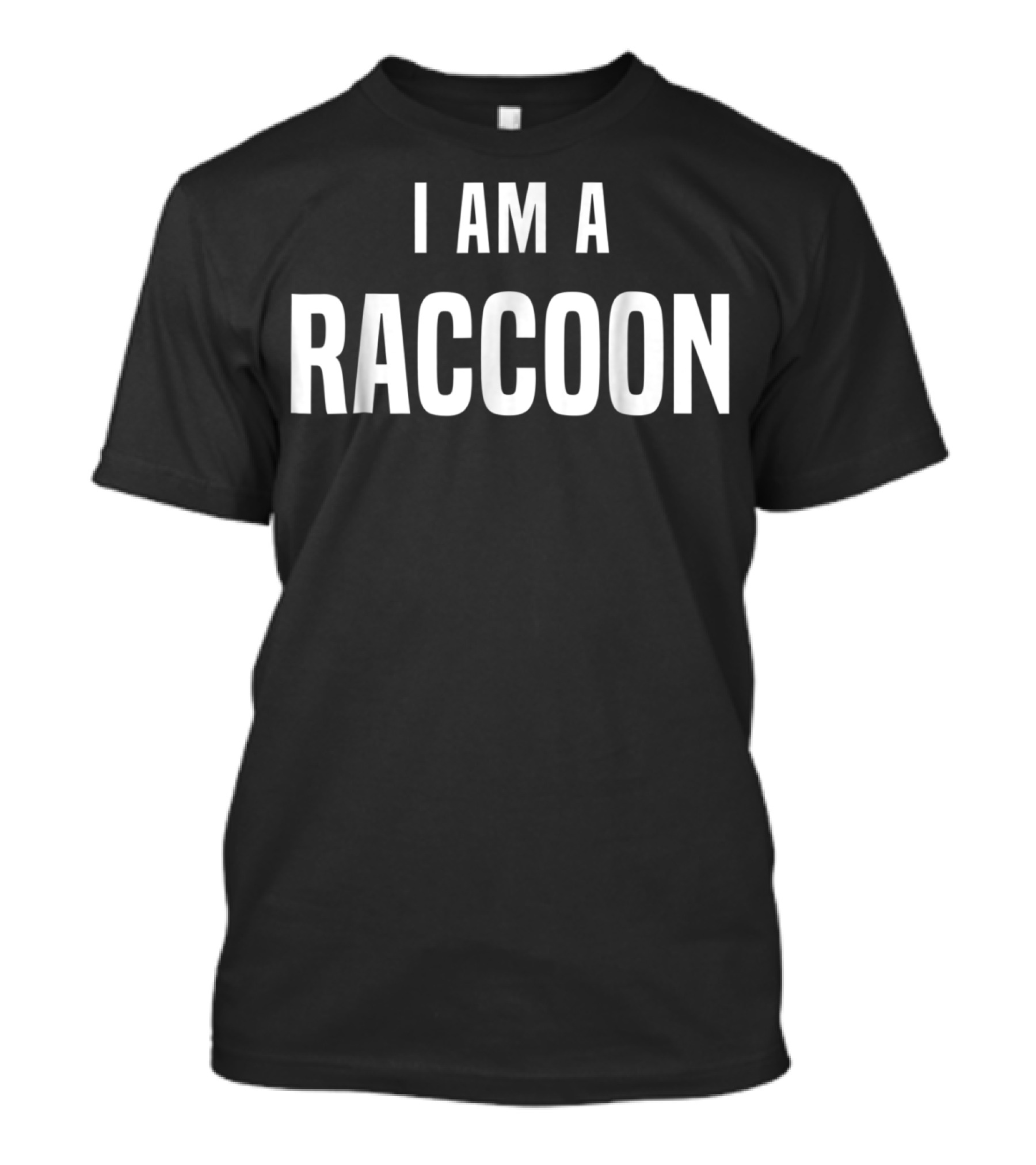 I Am A Raccoon Costume Easy Simple Halloween T-Shirt