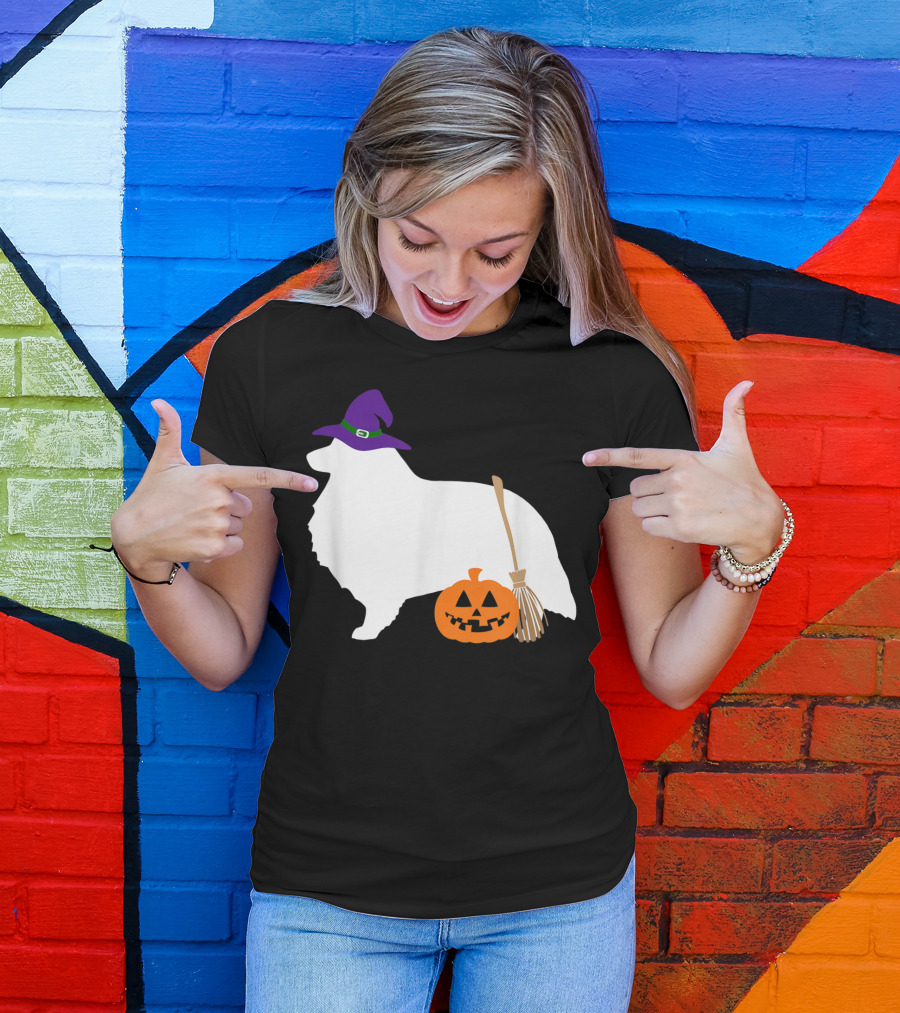 Sheltie Shetland Sheepdog Witch Hat Pumpkin With Broom Halloween T-Shirt