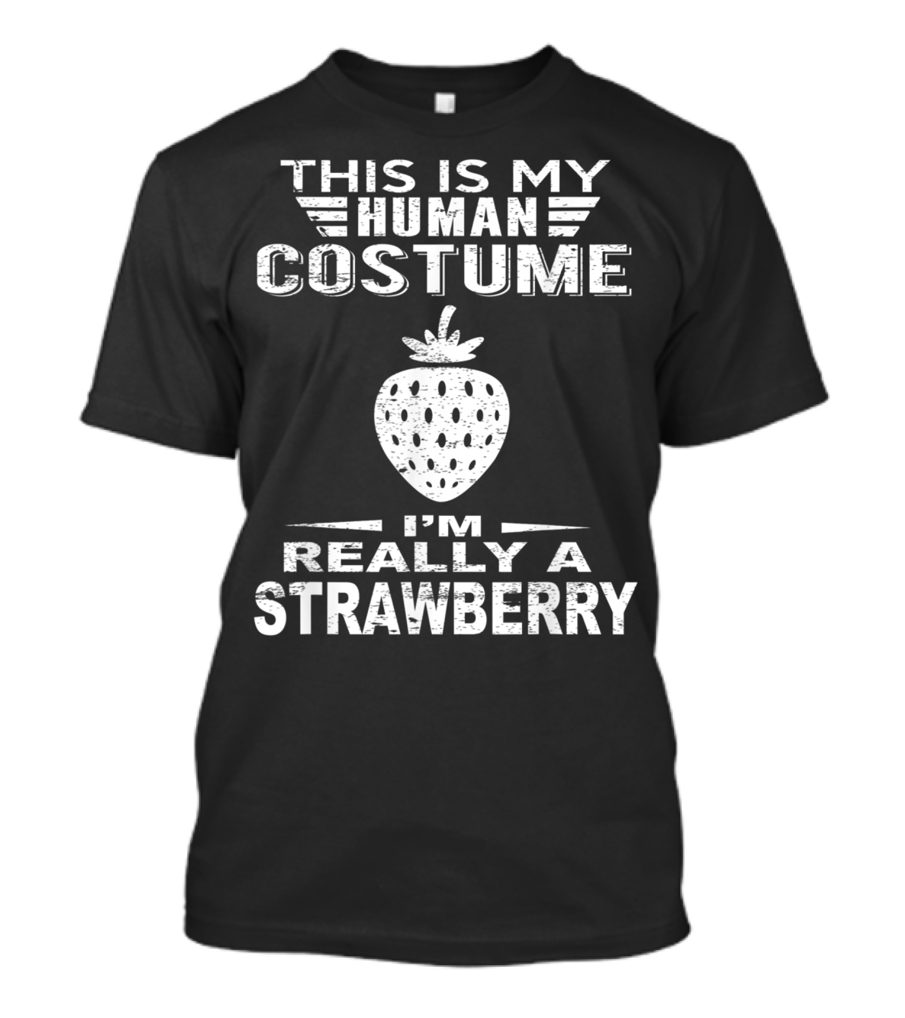 This Is My Human Costume I'm Really A Strawberry T-Shirt