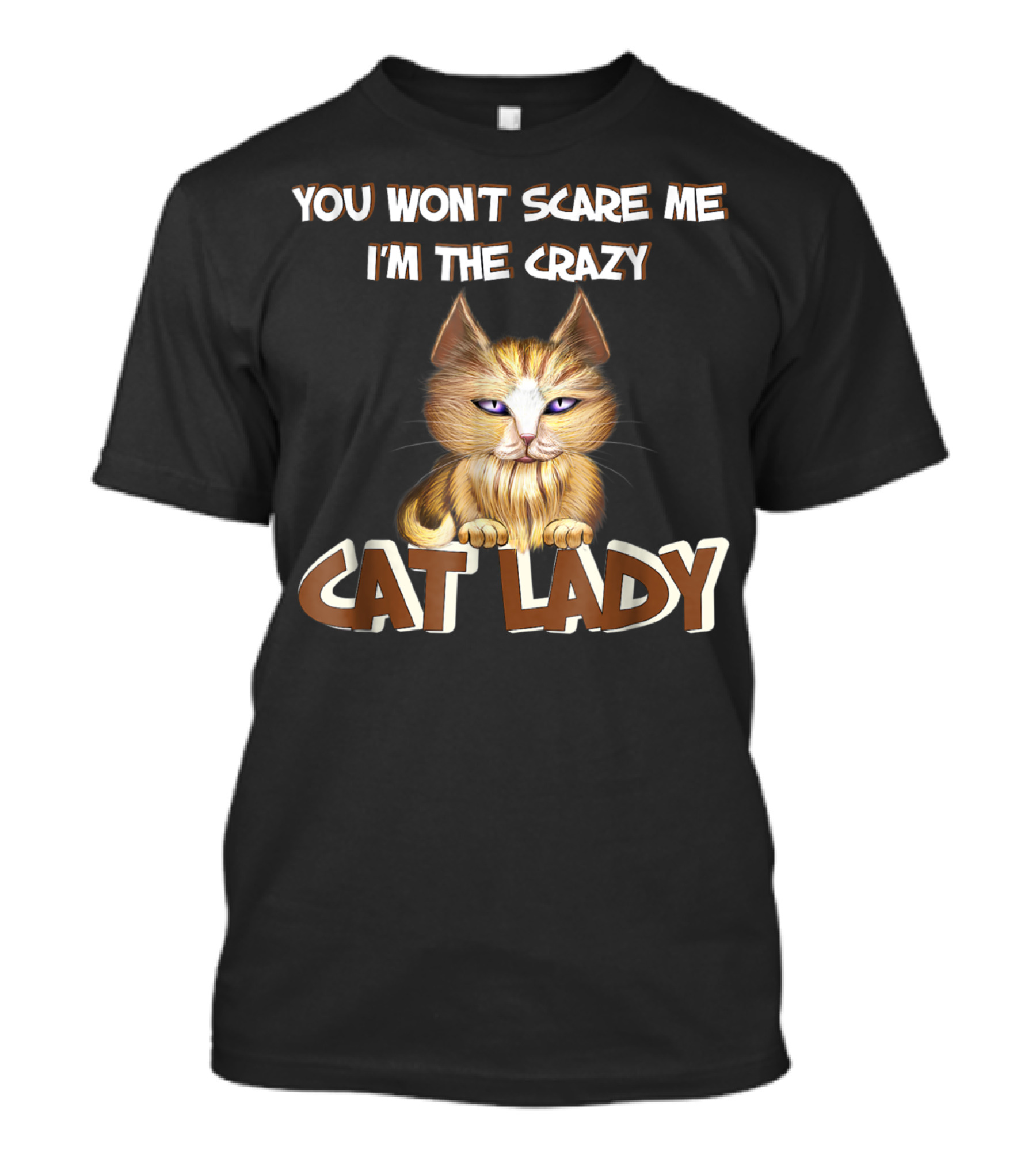 YOU WONT SCARE ME I'M THE CRAZY CAT LADY CAT LADY T-Shirt