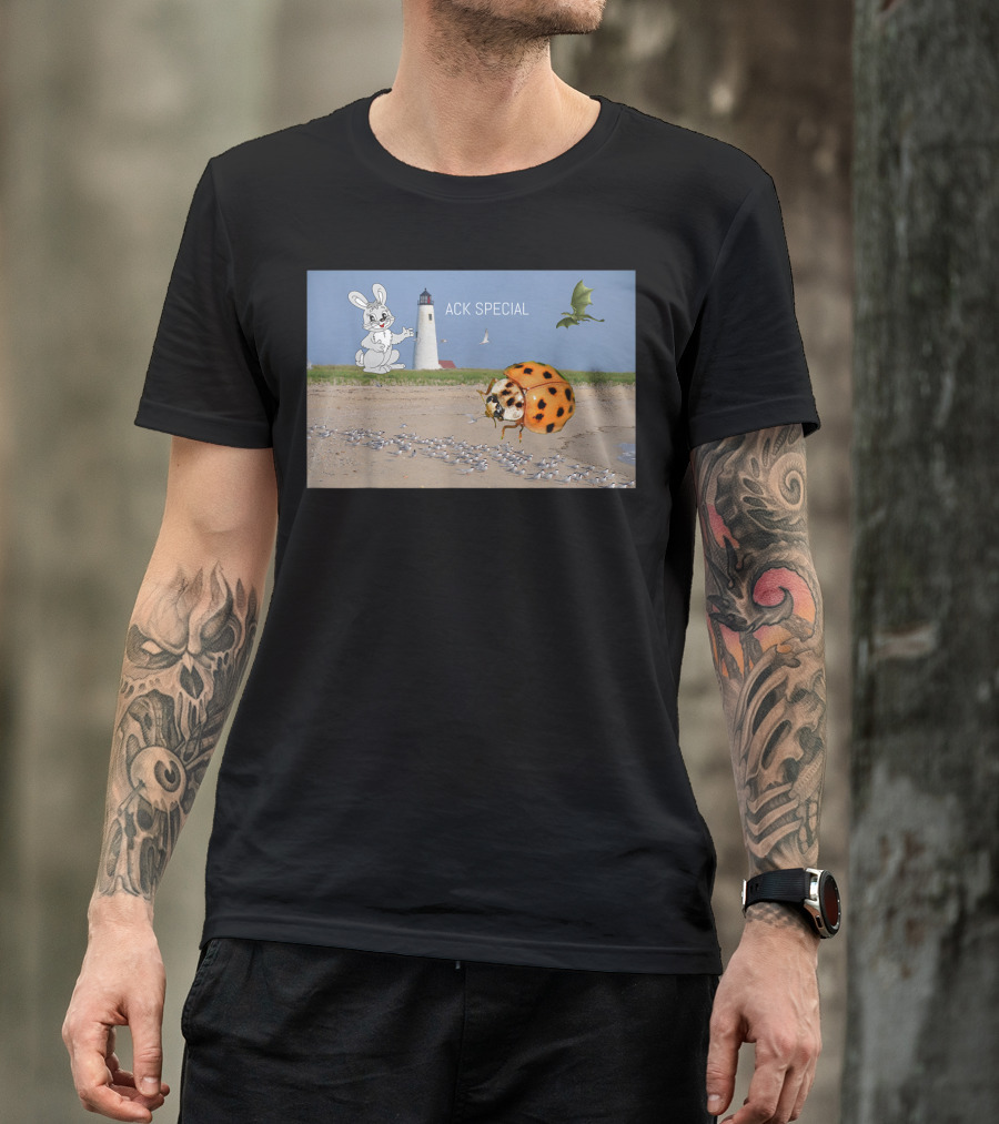 Ack Special Rabbit, Lighthouse, Ladybug, And Dragon Fantasy Beach Scene T-Shirt