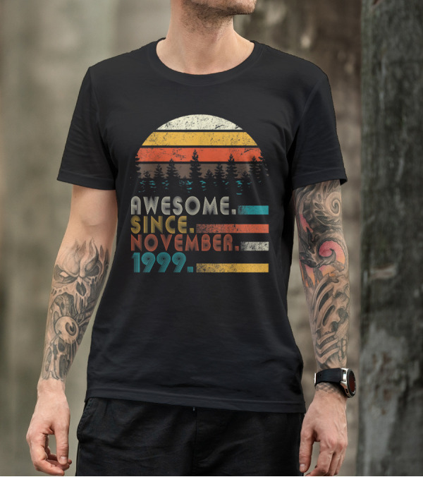 Awesome Since November 1999 Vintage 20th Classic T-Shirt