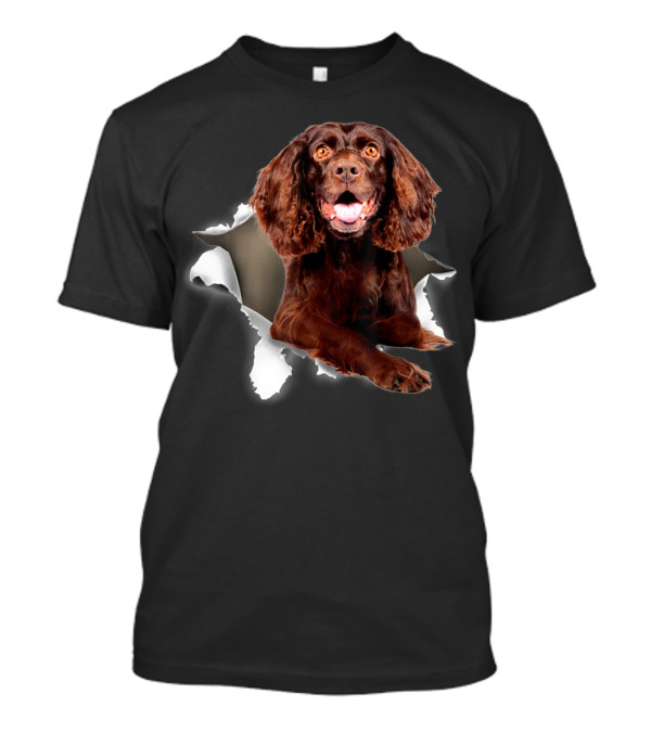 Boykin Spaniel Dog Peeking Through Torn Effect T-Shirt