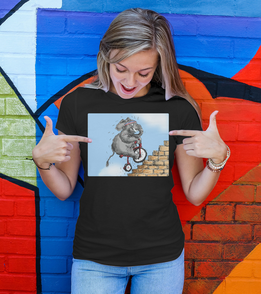 Challenge Accepted Elephant On Unicycle Climbing Stairs T-Shirt