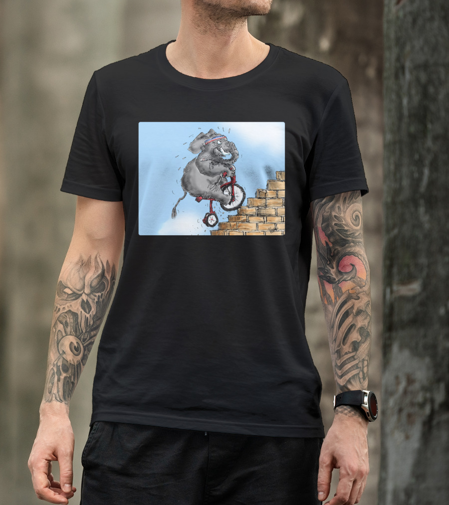 Challenge Accepted Elephant On Unicycle Climbing Stairs T-Shirt