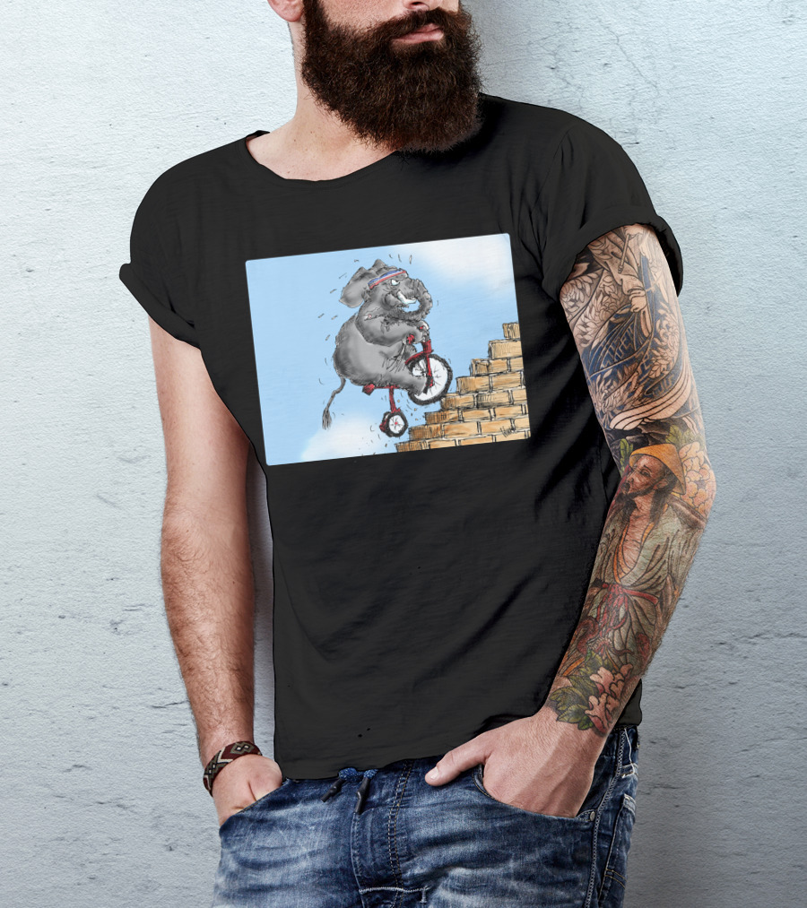 Challenge Accepted Elephant On Unicycle Climbing Stairs T-Shirt