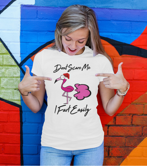 Dont Scare Me I Fart Easily Flamingo With Santa Hat T-Shirt