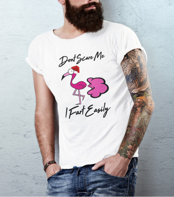 Dont Scare Me I Fart Easily Flamingo With Santa Hat T-Shirt