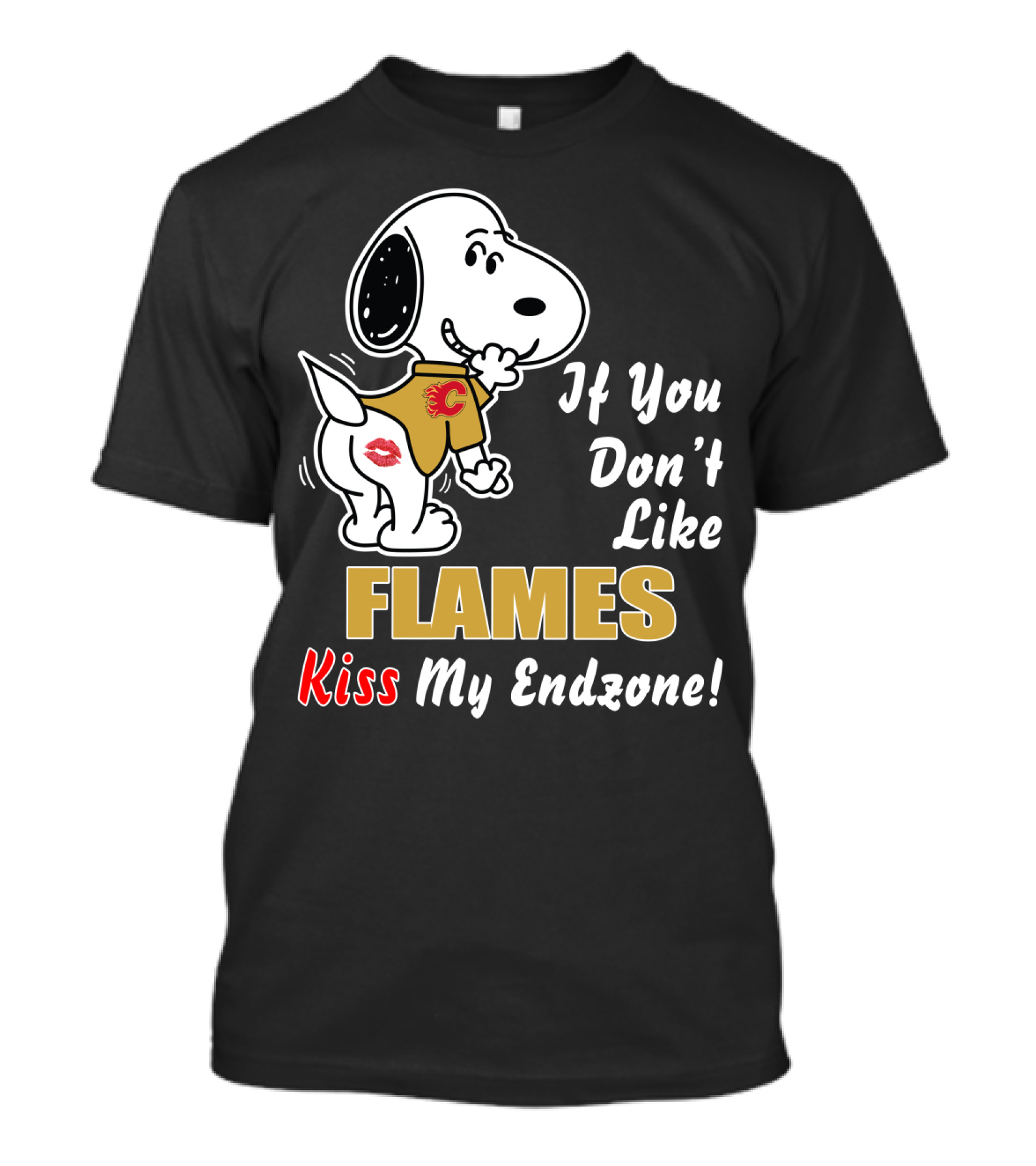 If You Don't Like Flames Kiss My Endzone T-Shirt