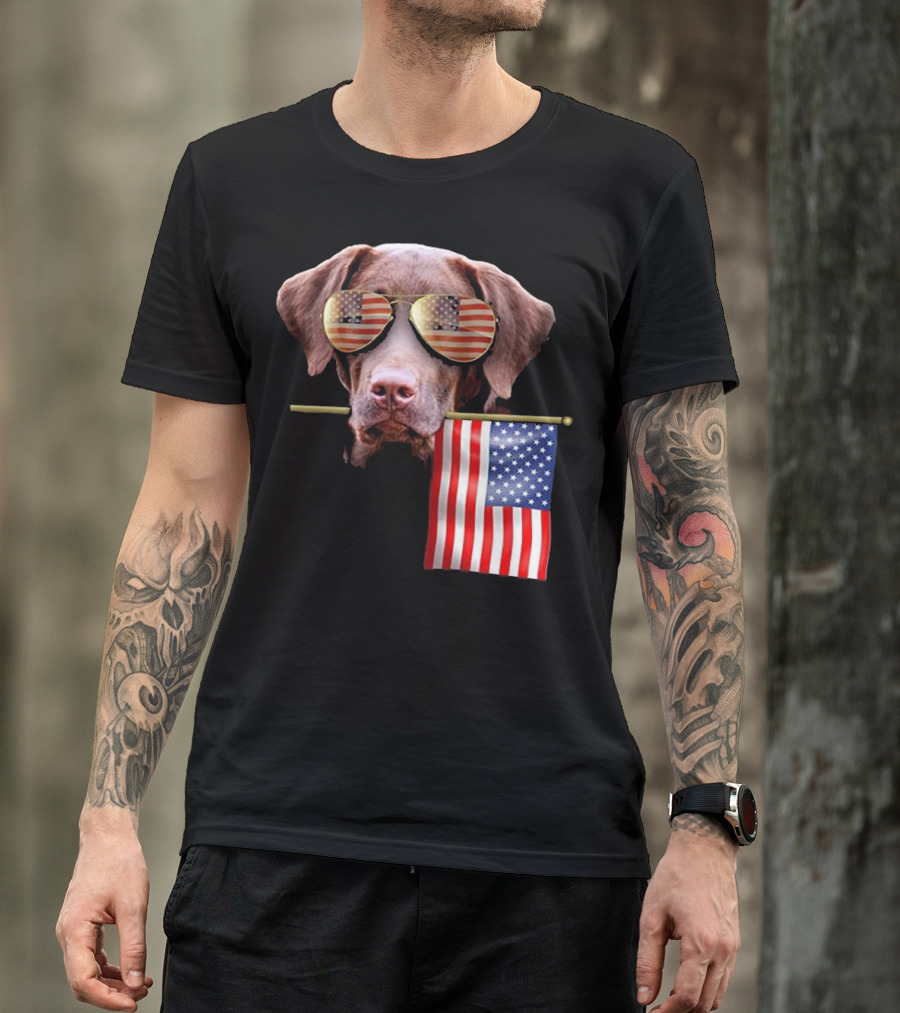 Pitbull Dog With American Flag Sunglasses And Flag T-Shirt