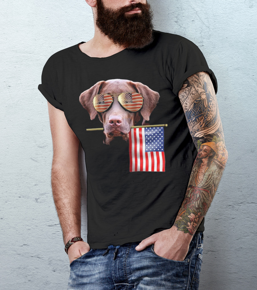 Pitbull Dog With American Flag Sunglasses And Flag T-Shirt