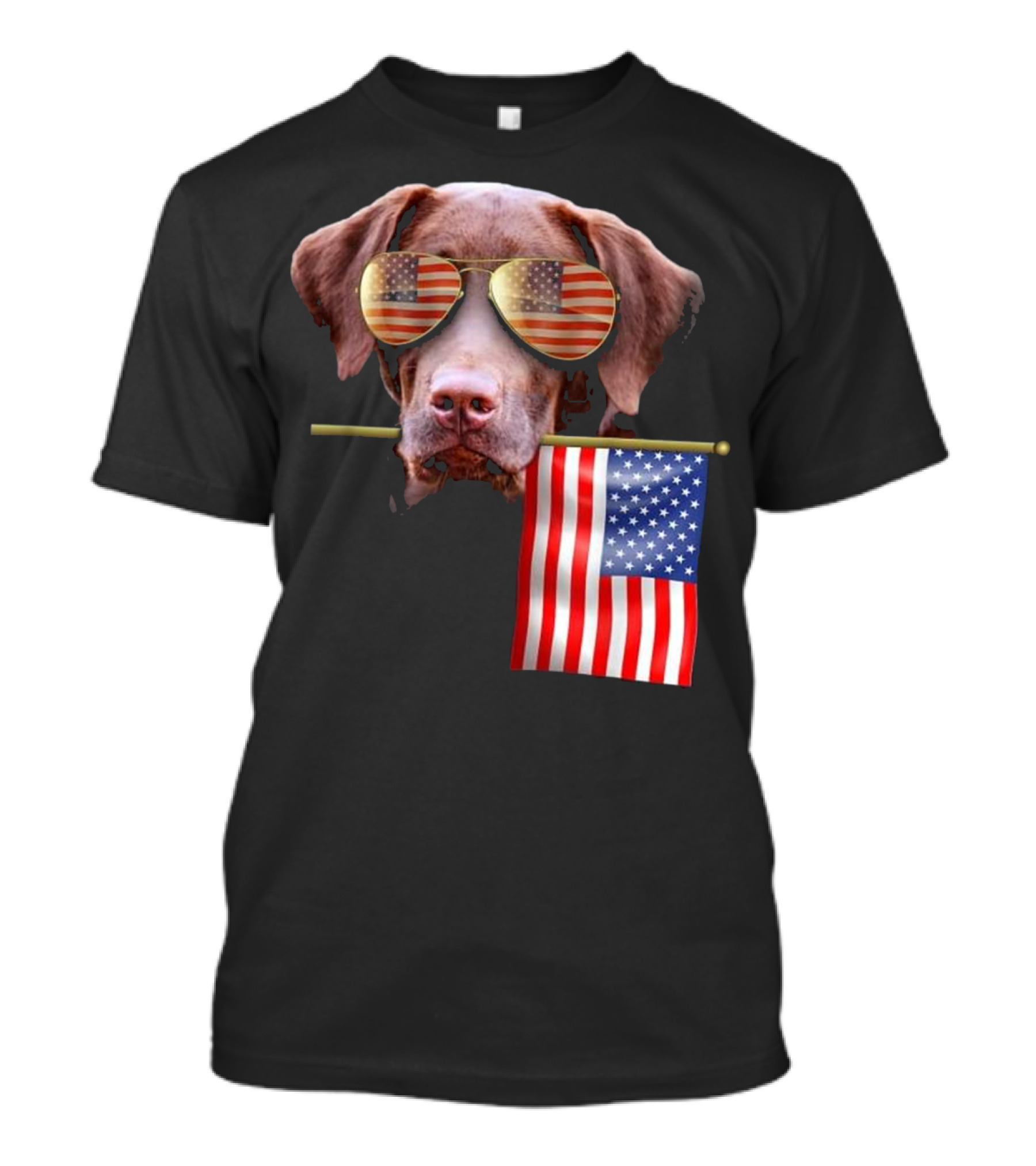 4th Of July Fun American Flag Labrador With Patriotic Sunglasses T-Shirt