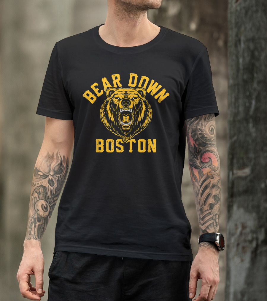 Bear Down Boston Vintage Ice Hockey Sports Bear T-Shirt
