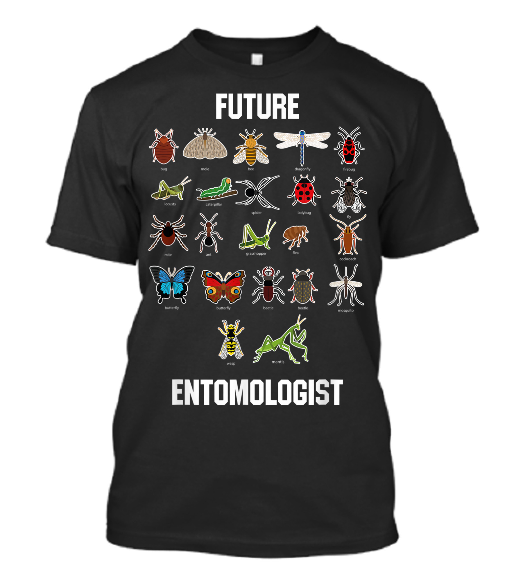 Future Entomologist Bug Insect Chart With Moth, Beetle, Spider, Butterfly, Dragonfly, Firefly, Ladybug, Ant, Grasshopper, Wasp, Mantis T-Shirt