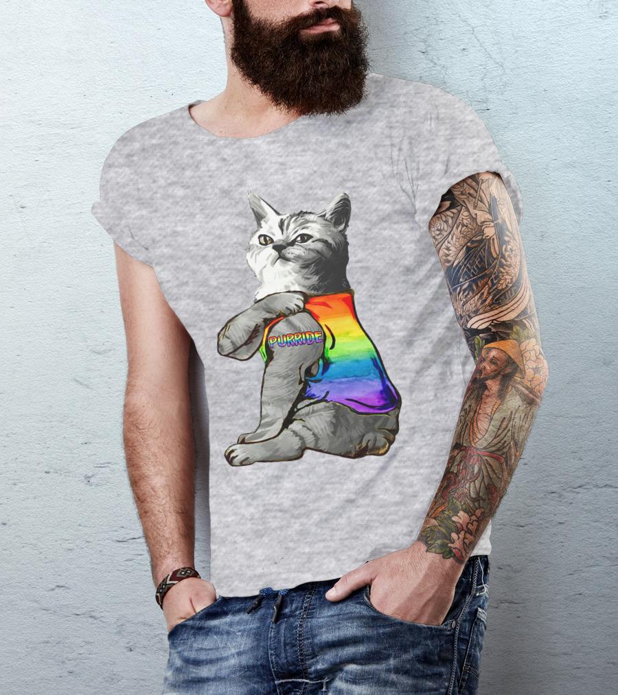 Purride Cat In Rainbow Colors T-Shirt