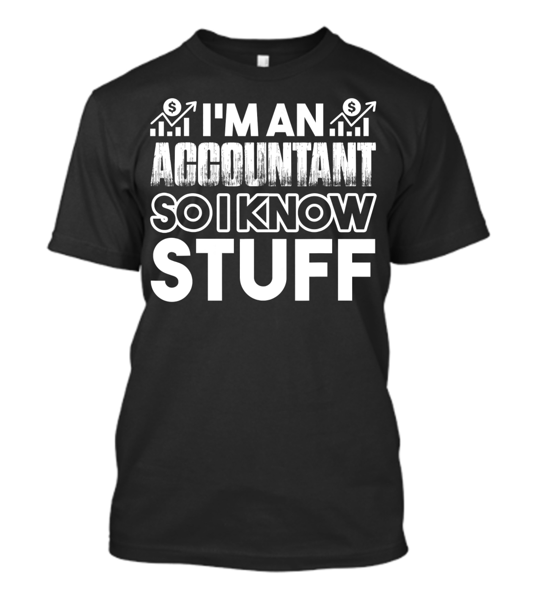 I'm An Accountant So I Know Stuff T-Shirt