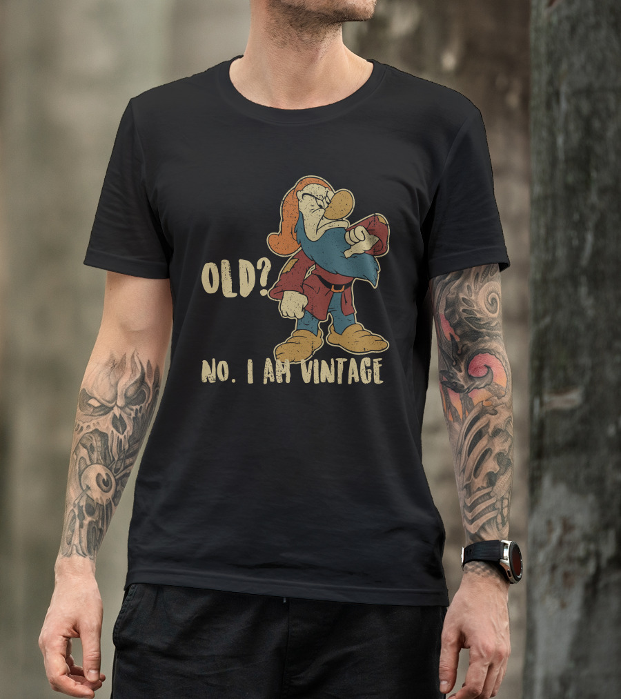 Grumpy Old? No. I Am Vintage T-Shirt