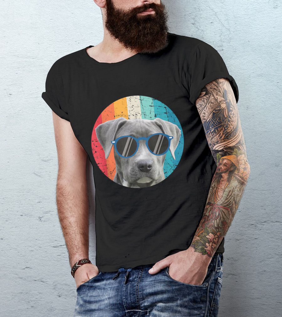 Vintage Weimaraner Dog With Sunglasses On Retro Striped Circle Background T-Shirt