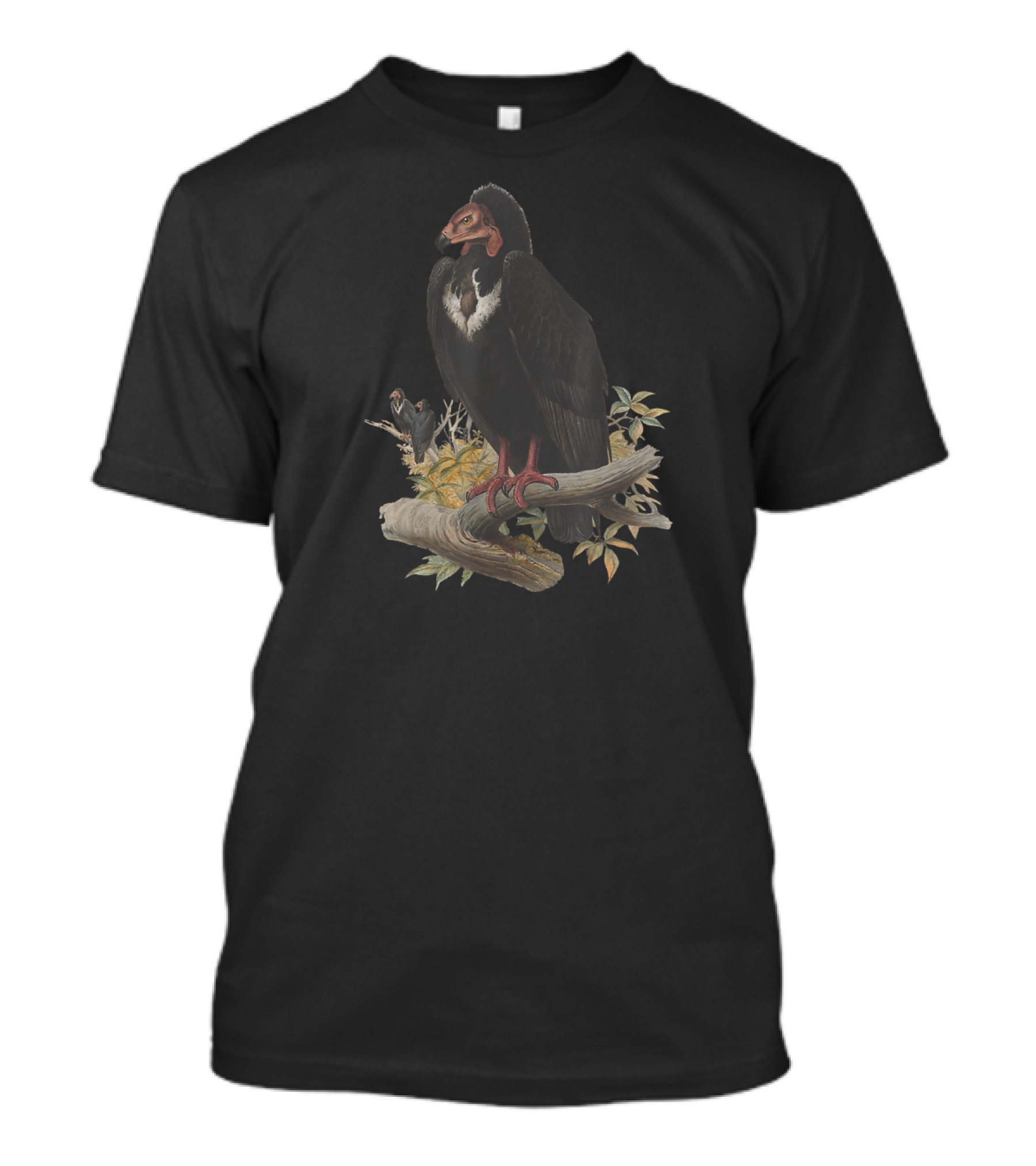 Vintage Vulture Scientific Ornithology T-Shirt