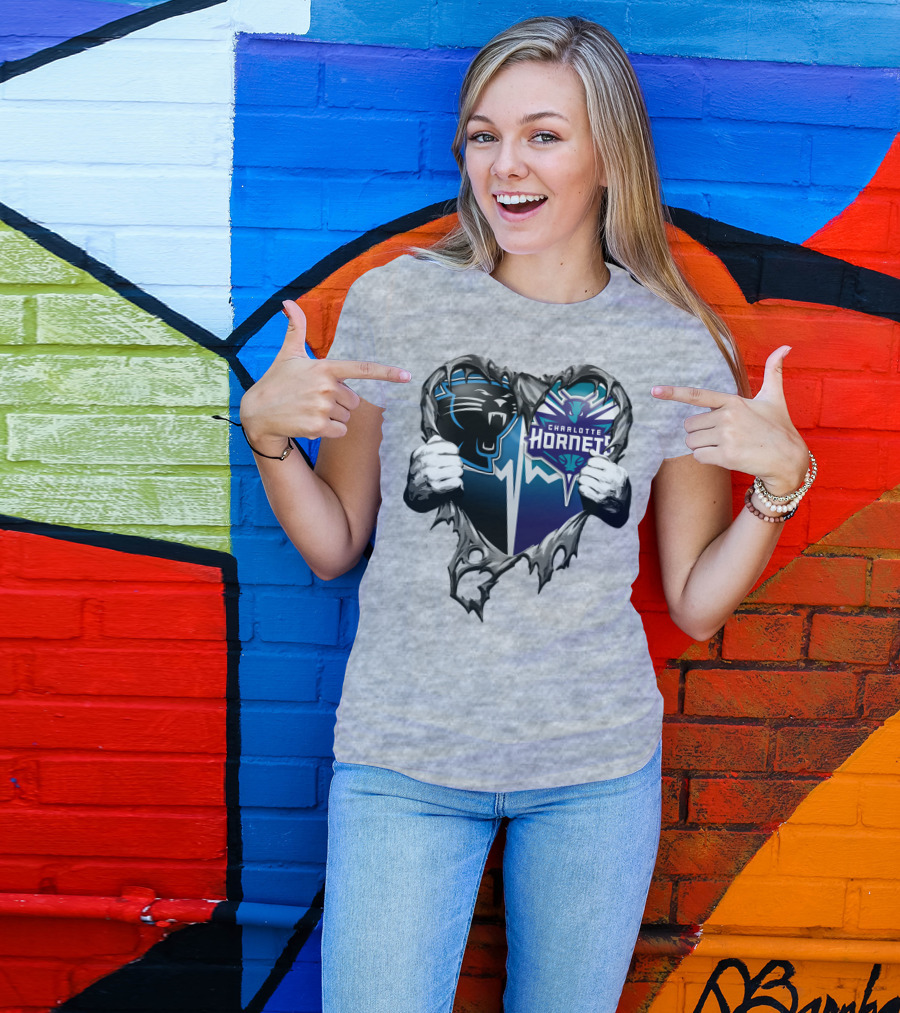 Carolina Panthers Charlotte Hornets Heart T-Shirt