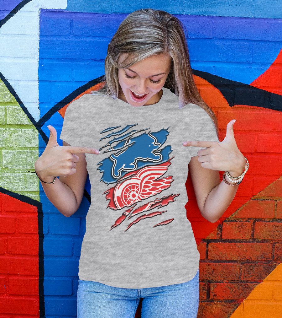 Detroit Red Wings Buffalo Sabres Vintage Mashup T-Shirt
