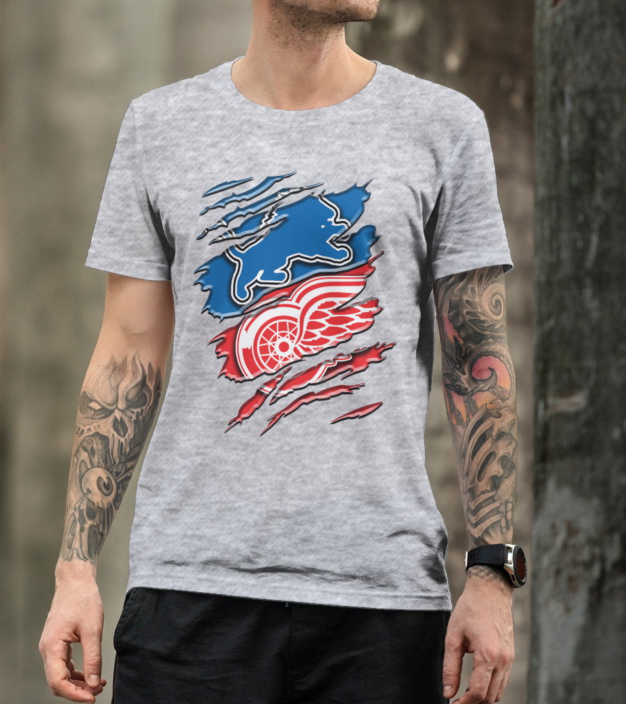 Detroit Red Wings Buffalo Sabres Vintage Mashup T-Shirt