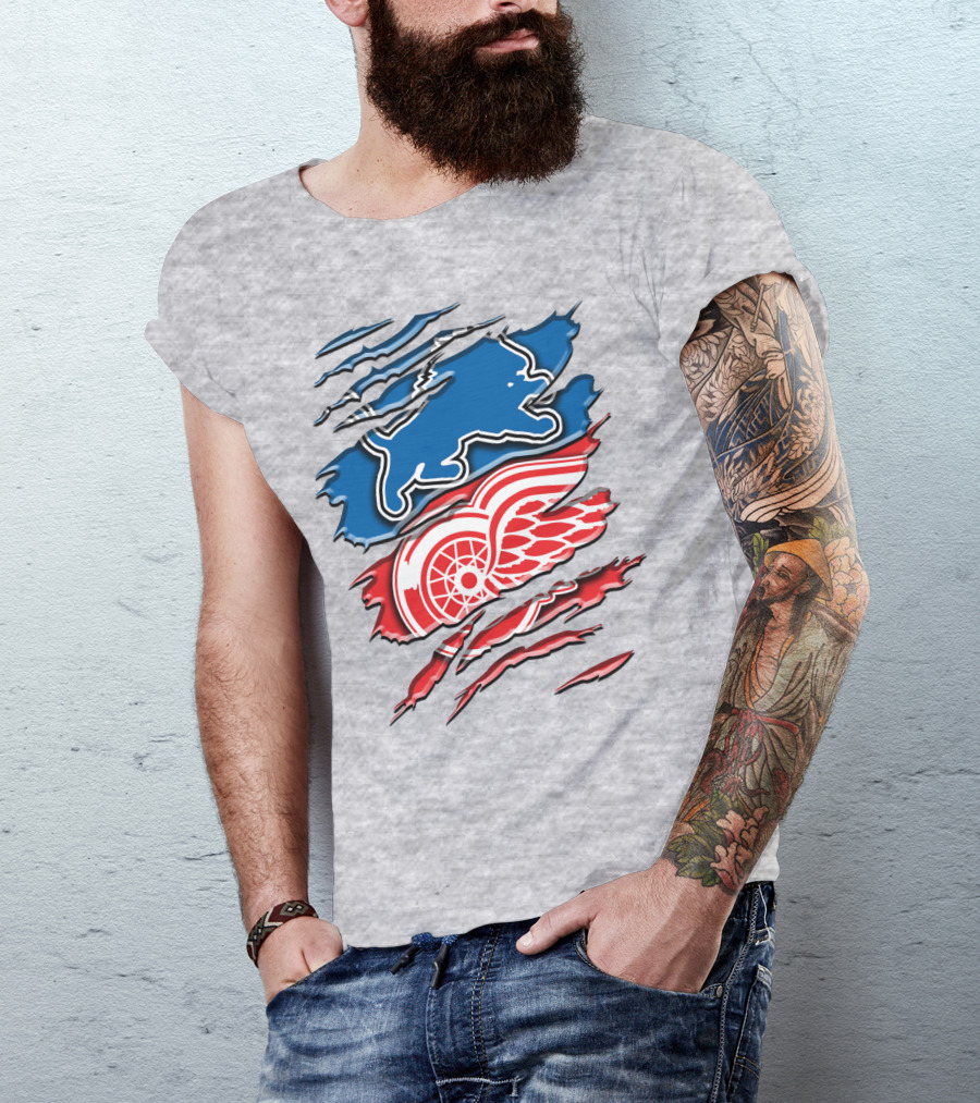 Detroit Red Wings Buffalo Sabres Vintage Mashup T-Shirt