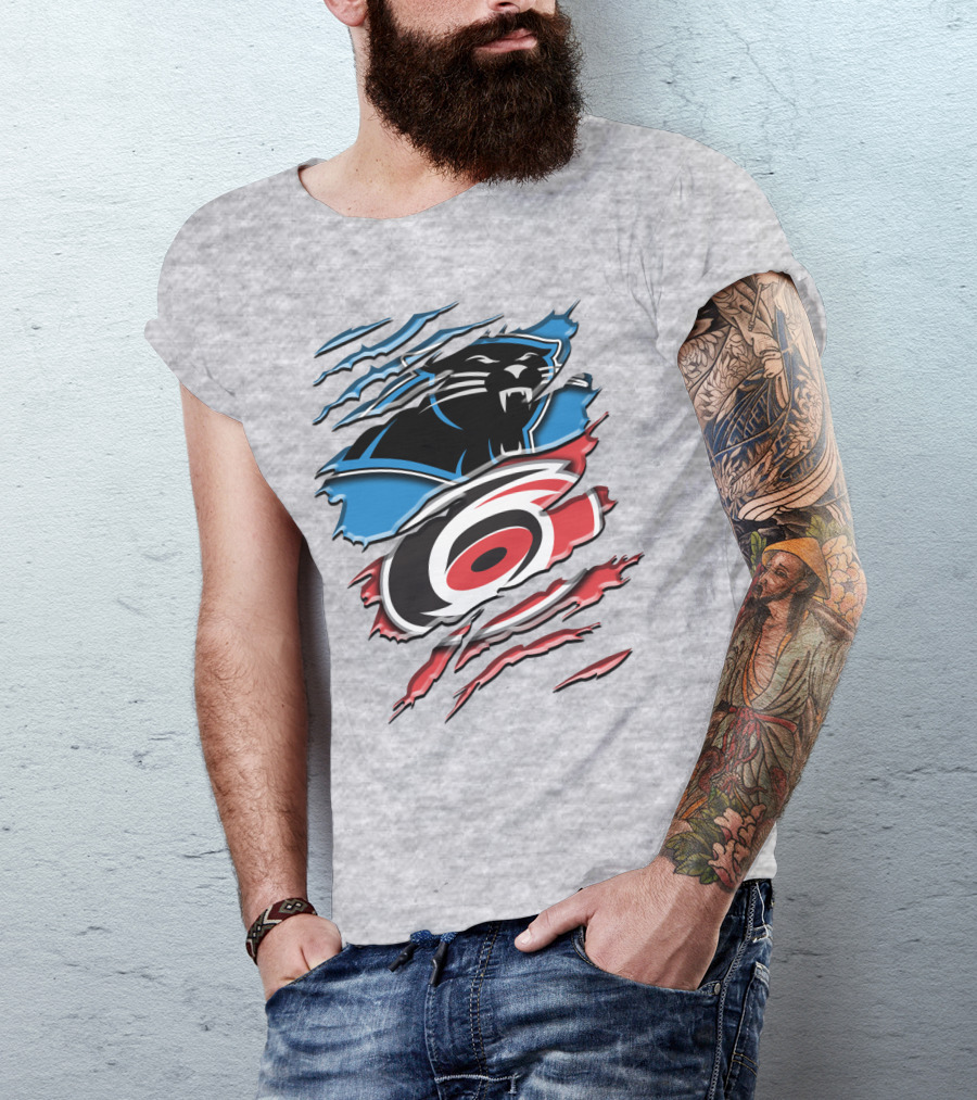 Carolina Panthers And Hurricanes Claw T-Shirt