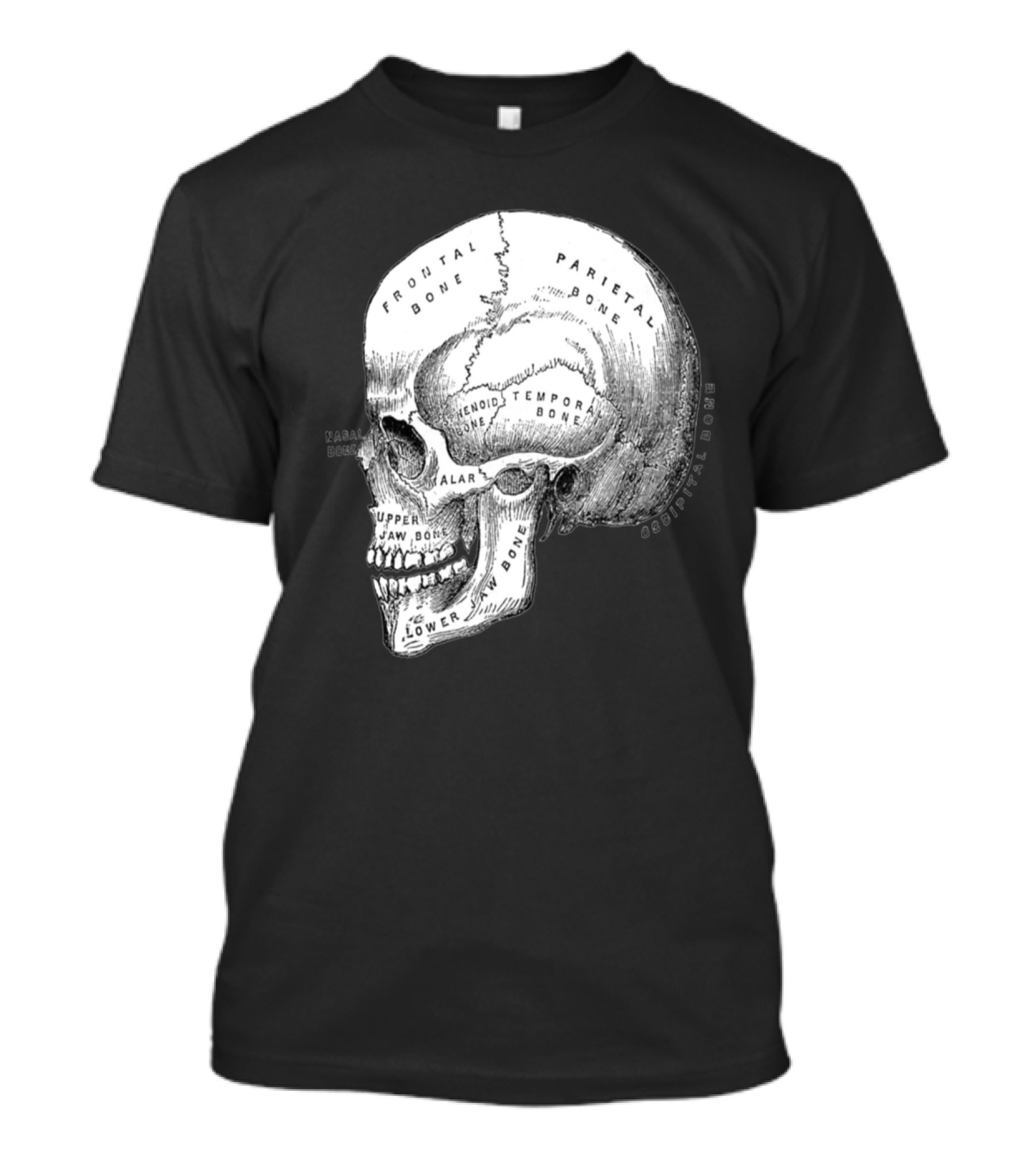 Anatomically Correct Skull Frontal Parietal Occipital Sphenoid Bone Diagram T-Shirt