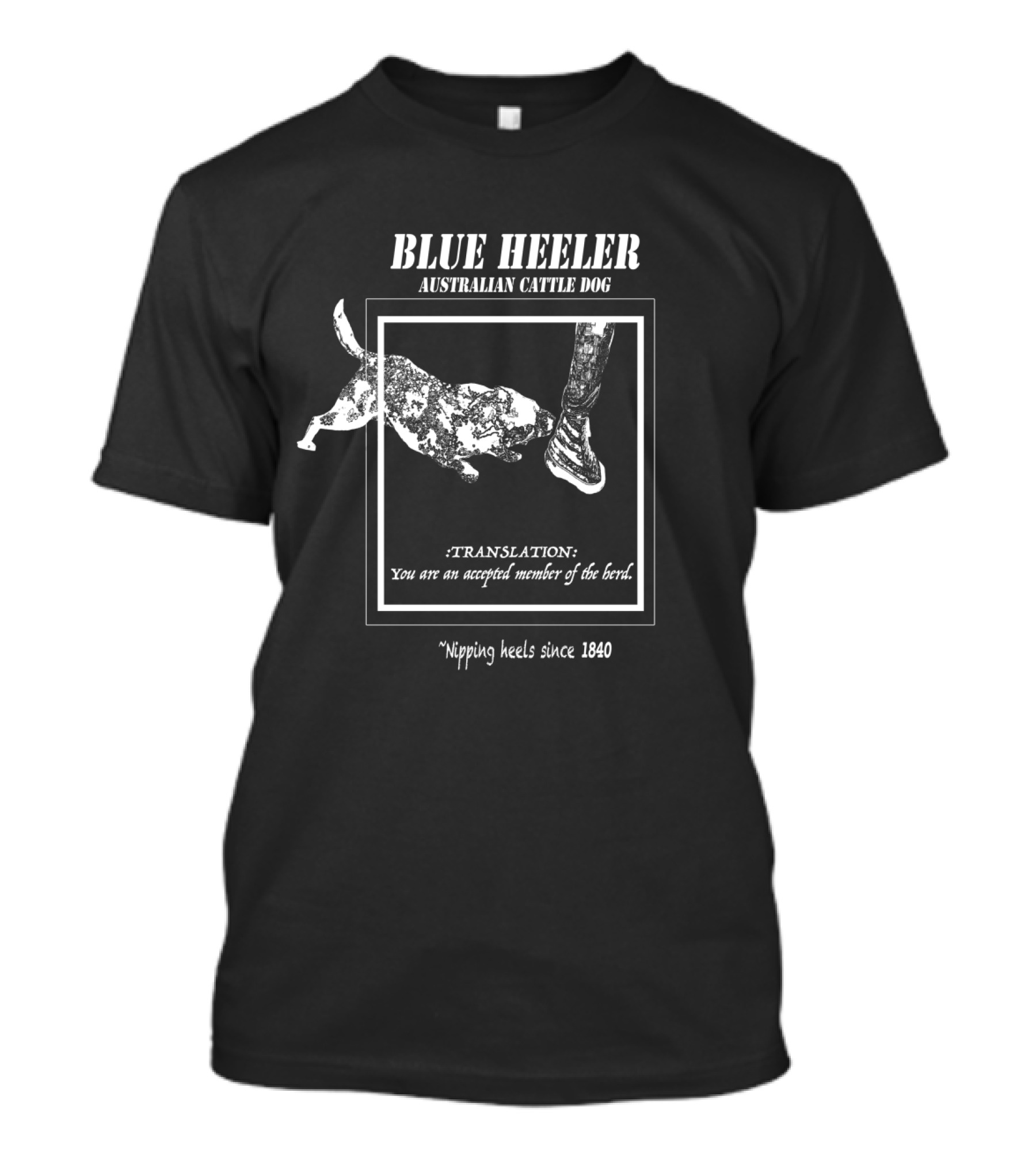 BLUE HEELER AUSTRALIAN CATTLE DOG NIPPING HEELS SINCE 1840 TRANSLATION YOU ARE AN ACCEPTED MEMBER OF THE HERD T-Shirt