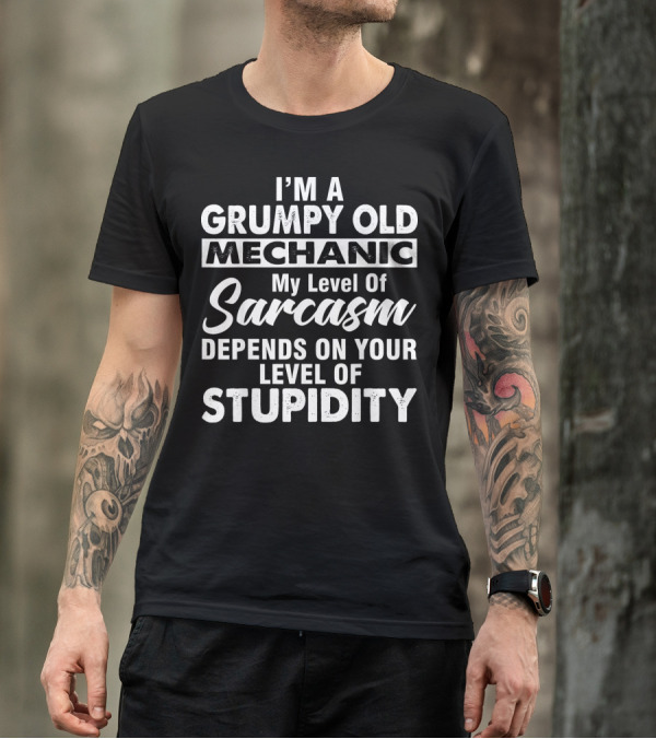 I Am A Grumpy Old Mechanic My Level Of Sarcasm Depends On Your Level Of Stupidity T-Shirt