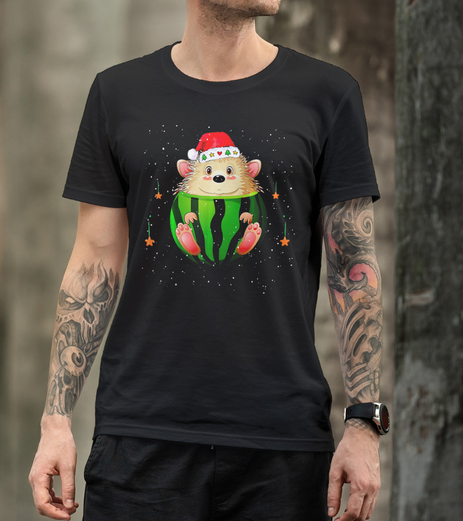 Christmas Hedgehog In Festive Watermelon Stocking With Santa Hat And Stars T-Shirt