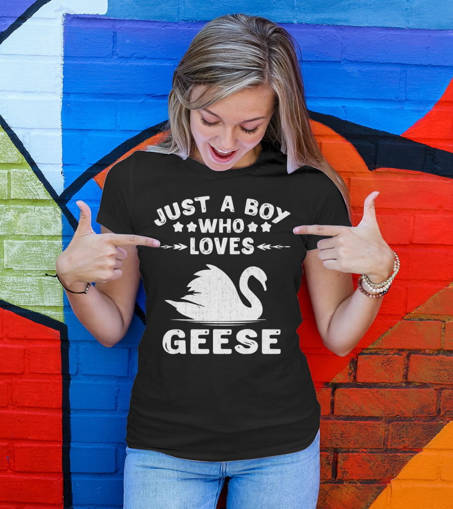 Just A Boy Who Loves Geese Goose Silhouette With Stars And Arrows T-Shirt